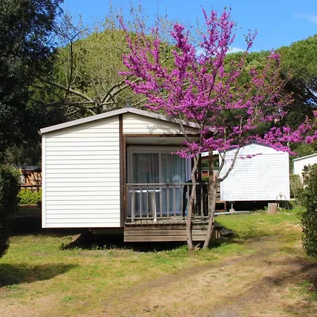 Camping Camping 3 étoiles - Piscine - cca0gbf Saint-Jean-Pla-de-Corts