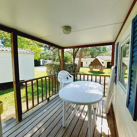 Zecamping 3 Etoiles Piscine Chauffee Et Pataugeoire Pet Friendly *