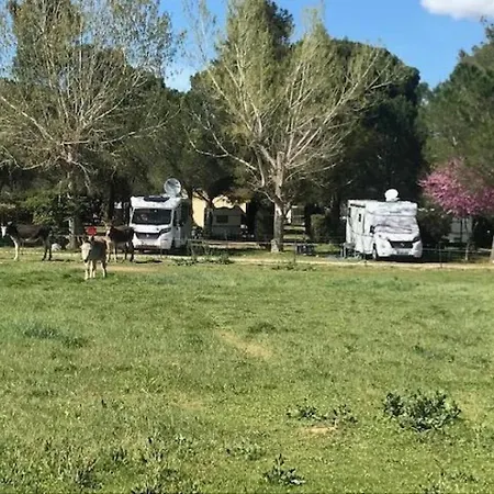 Campsite Zecamping 3 Etoiles Piscine Chauffee Et Pataugeoire Pet Friendly
