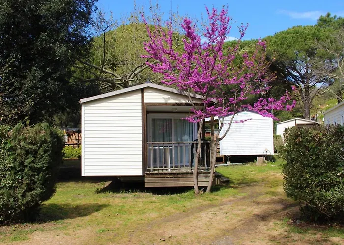 Camping Camping 3 étoiles - Piscine - cca0gbf Saint-Jean-Pla-de-Corts